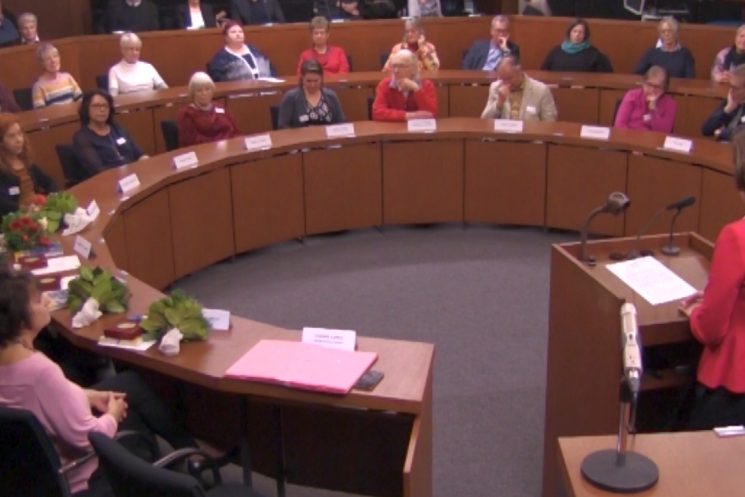 Ehrenamtspreis der Stadt Flensburg 2018