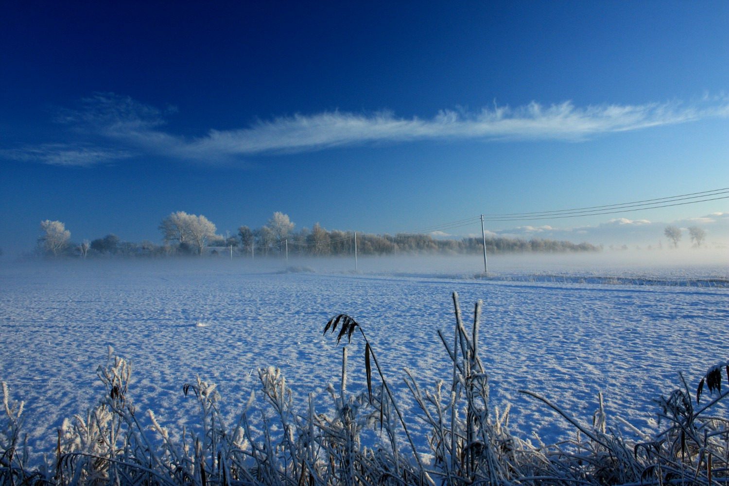Klingender Adventskalender