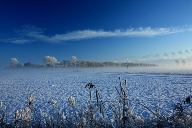 Klingender Adventskalender