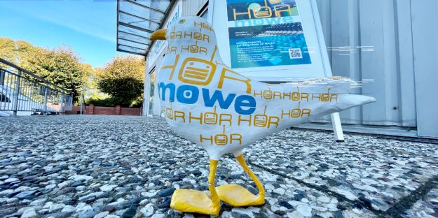 Hörmöwe Studio Heide