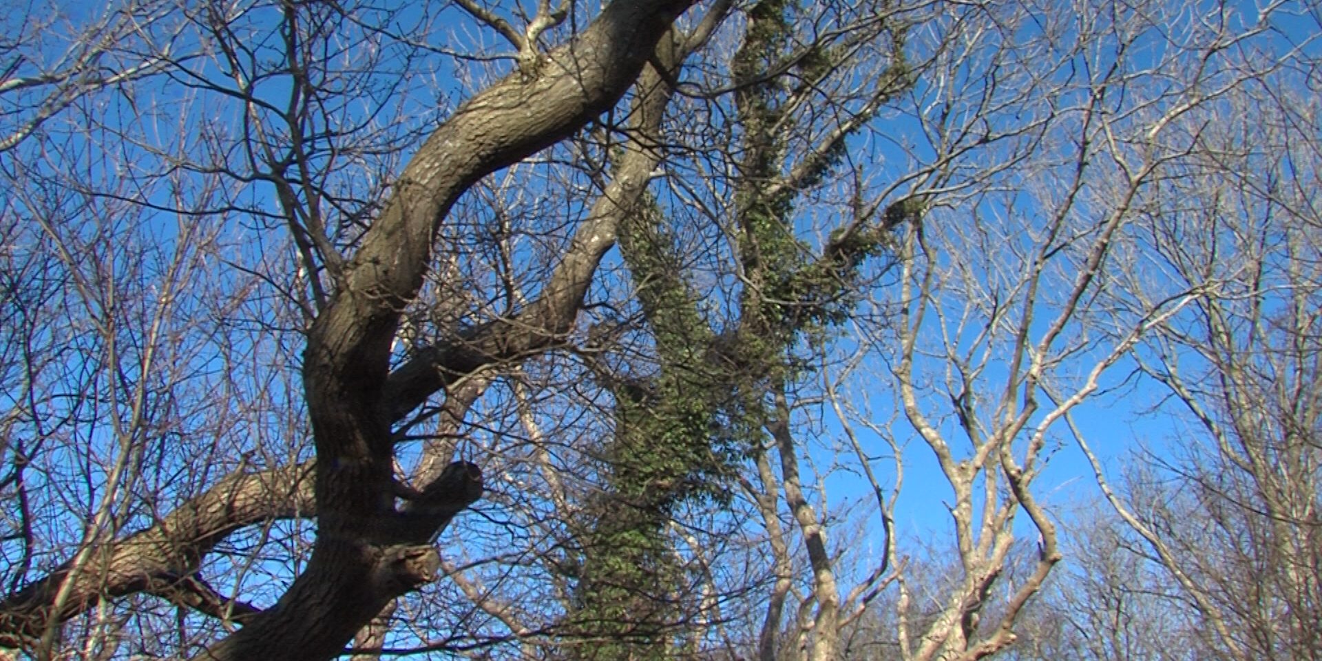 Geltingbirk.Standbild001