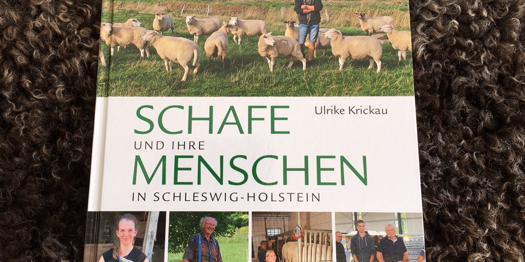 v13BuchCover_Schafe_IMG_6398