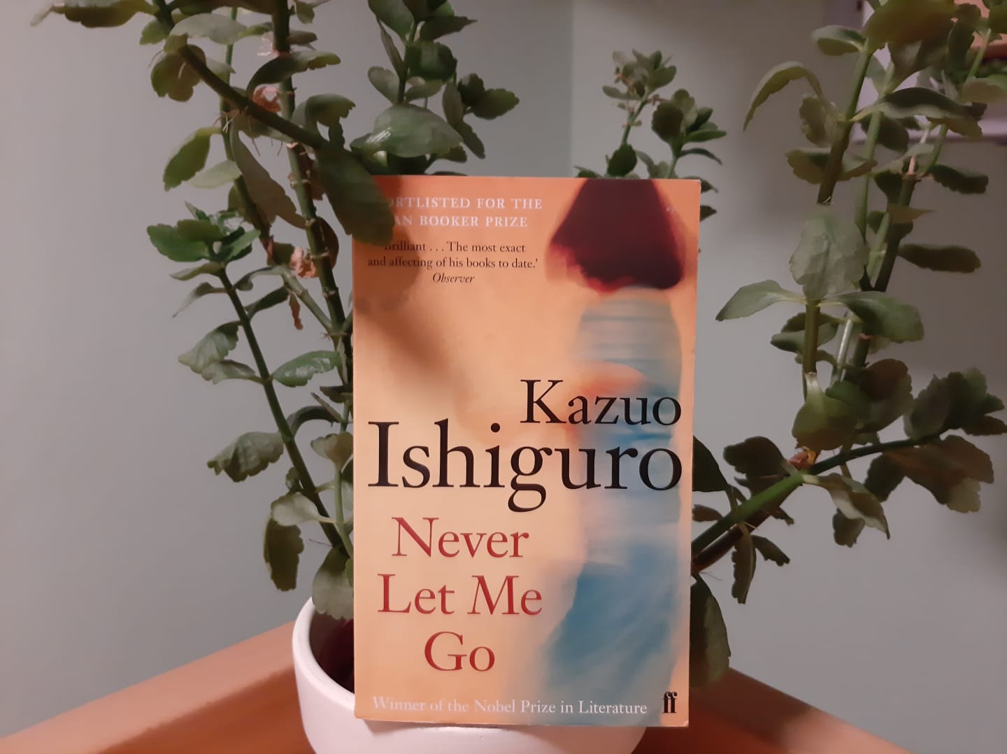 "Alles was wir geben mussten" von Kazuo Ishiguro | Offener Kanal