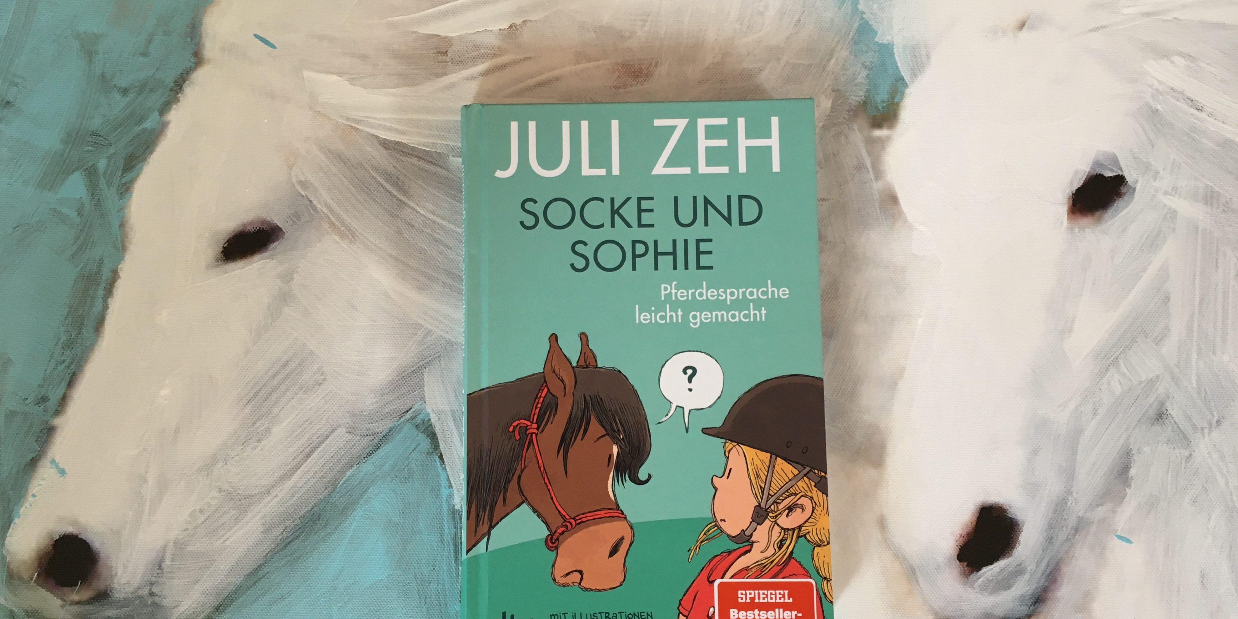 BuchCover_Socke und Sophie_IMG_6764