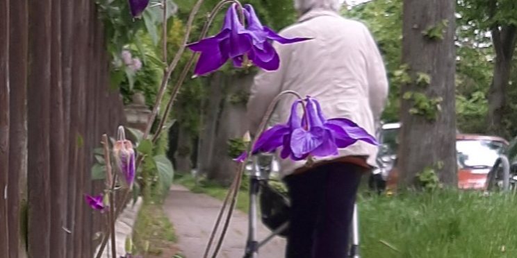 2022-02-16-17-47-24-761