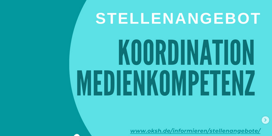 Screenshot 2023-10-12 at 11-39-09 Offener Kanal SH (@offenerkanal_sh) • Instagram-Fotos und -Videos