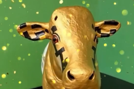 Screenshot 2026-01-15 at 11-18-56 Instagram